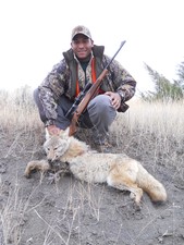 Montana coyote hunting pictures